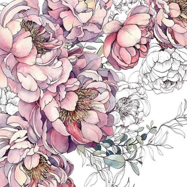 Пионы паттерн