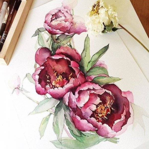 Пион Флавио