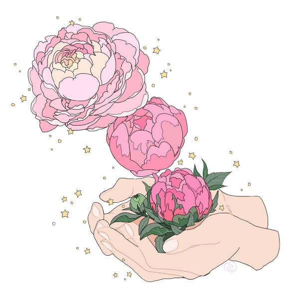 Арты цветов для срисовки