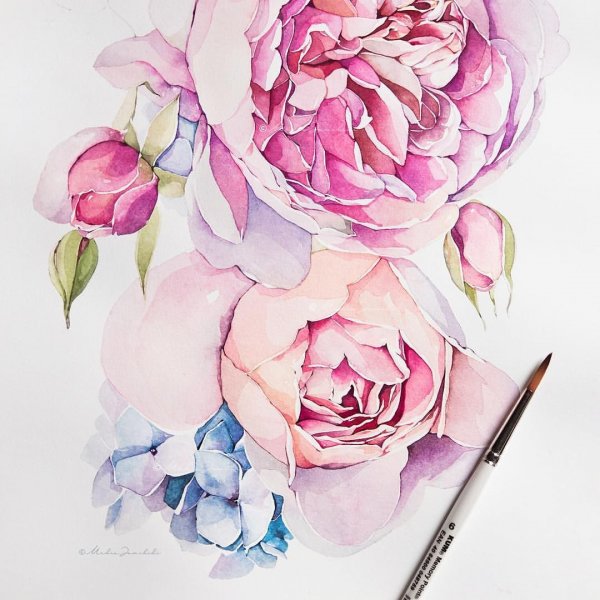 Акварельные цветы розовые