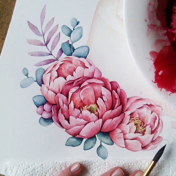 Пионы эскиз акварель