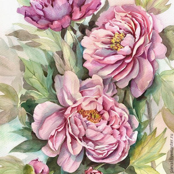 Акварель Тюлькина пионы