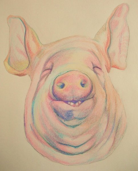 Поросенок скетч