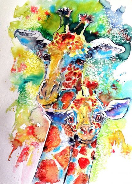 Красивые рисунки животных