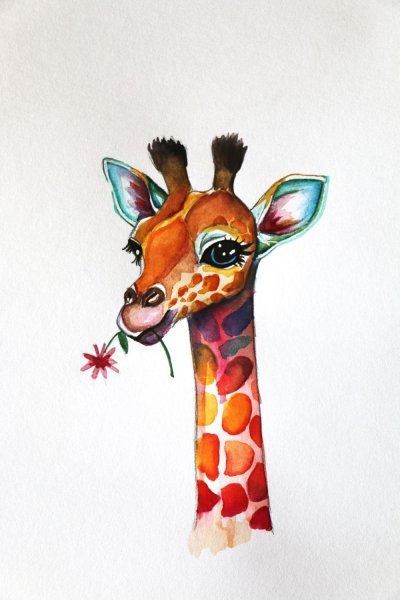 Жирафик арт