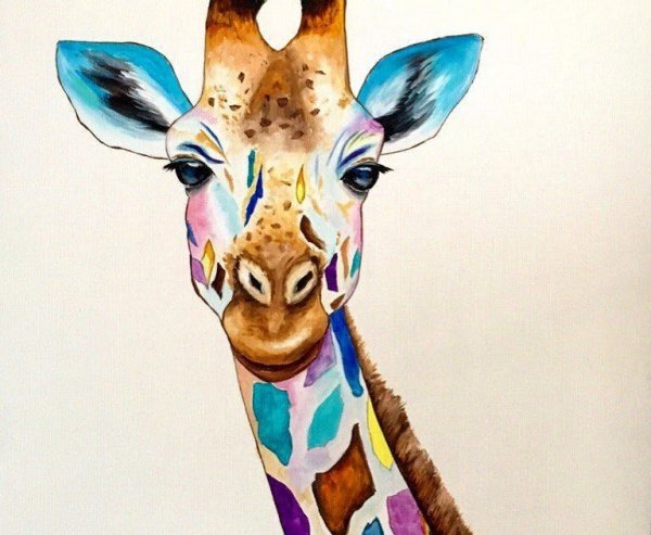 Разноцветные Жирафы