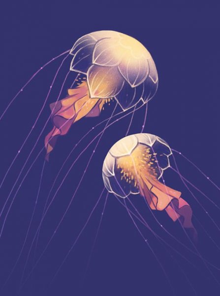 Медуза арт