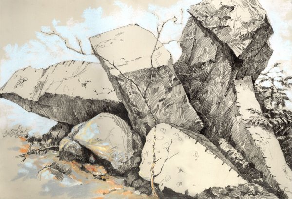 Зарисовки первоплановых элементов пейзажа