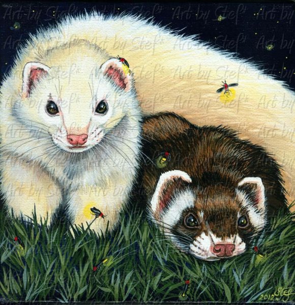 Хорек мультяшный