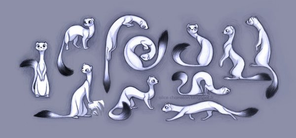 Стилизованный хорек