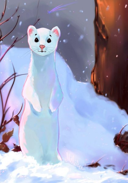 Горностай арт
