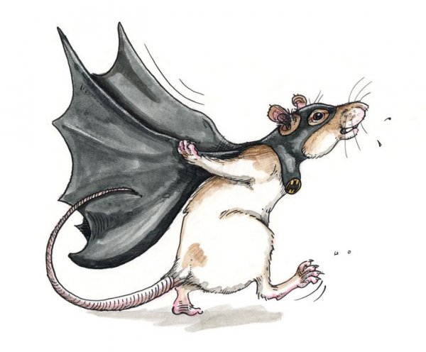 Крыса мультяшная