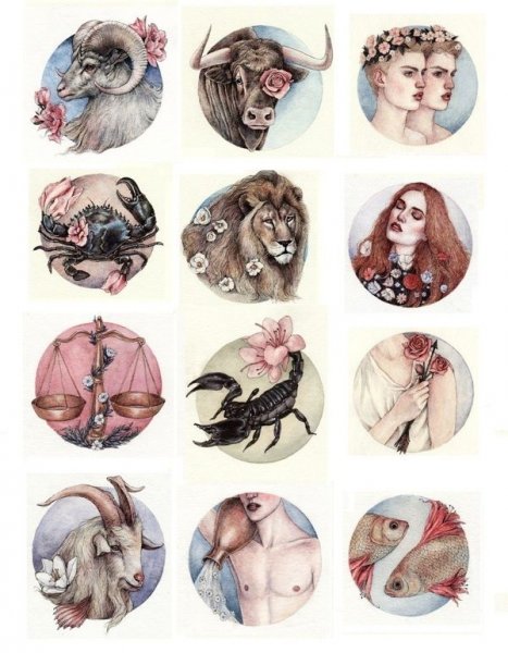 Знаки зодиака