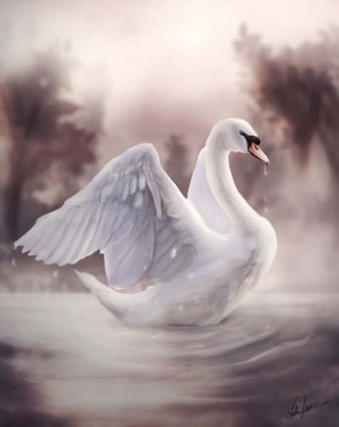 Пара лебедей арт