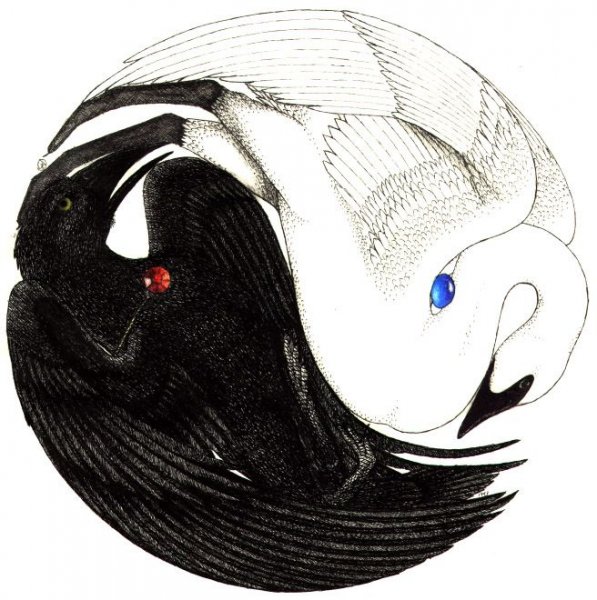 Инь Янь птицы