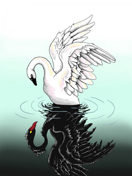 Лебединый эскиз