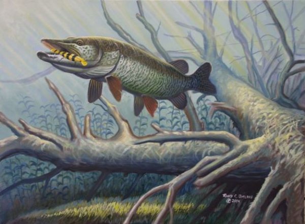 Пасть щуки нарисованная