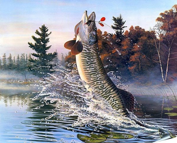 Картина щука Пайк