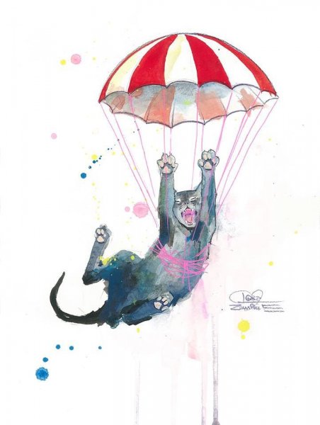 Котик на парашюте