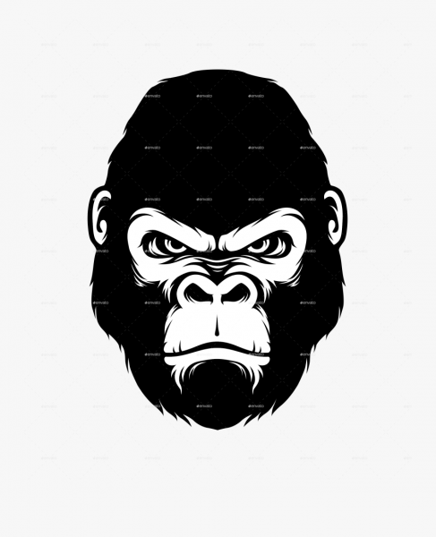 Голова гориллы