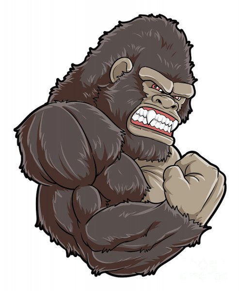 Крутая горилла