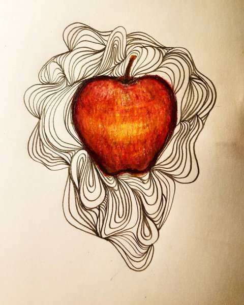 Яблоко набросок