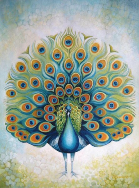 Зентангл Павлин