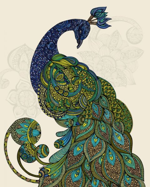 Яванский Павлин