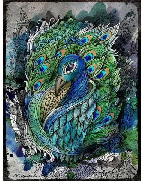 Павлин для детей