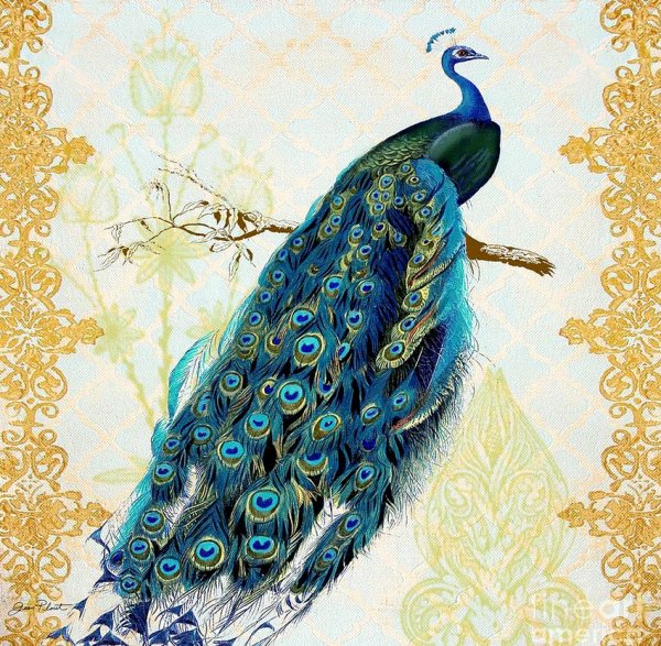 Девушка Павлин аниме