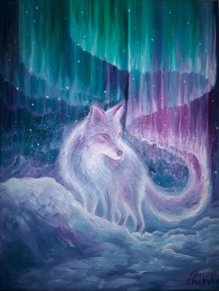 Лисьи огни Северное сияние