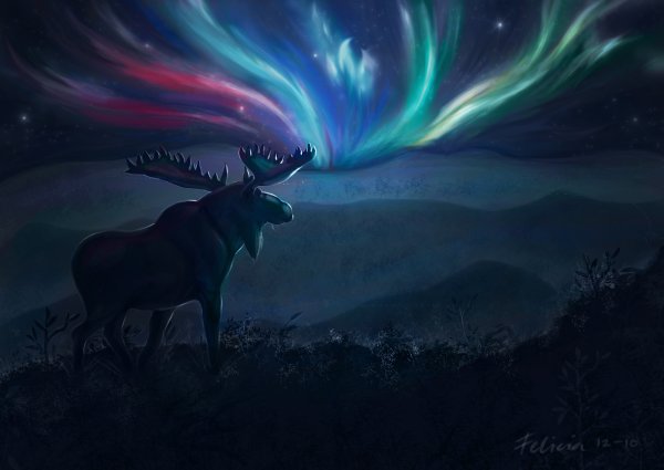 Олень на фоне Северного сияния