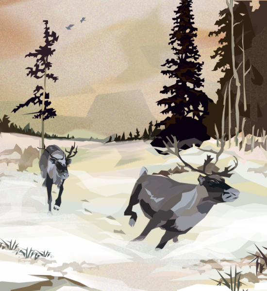 Природа севера Графика