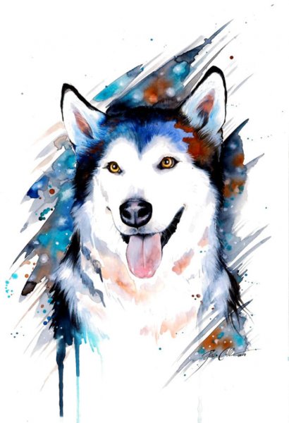 Алмазная мозаика хаски