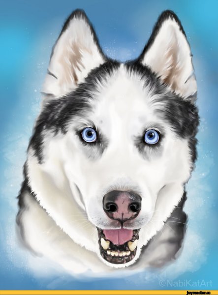 Хаски арт