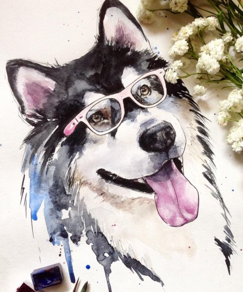 Красивые собаки акварелью