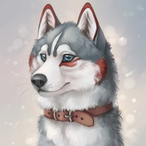 Арты собак акварелью