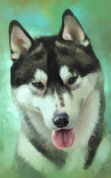 Милые мультяшные хаски