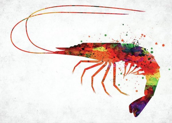 Креветки арты