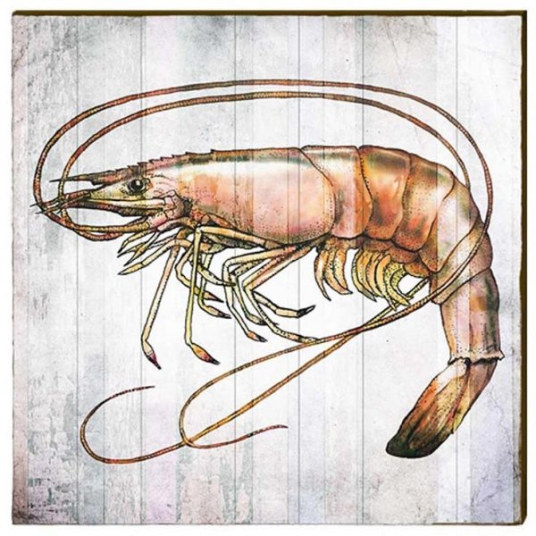 Креветки арты