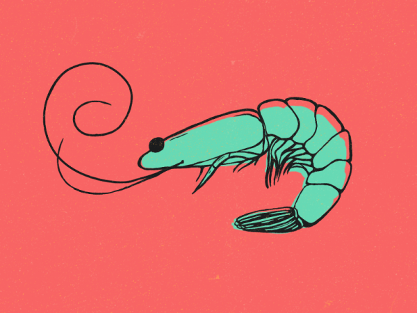 Креветка мультяшная