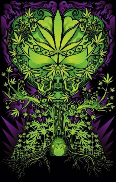 Конопля психоделика