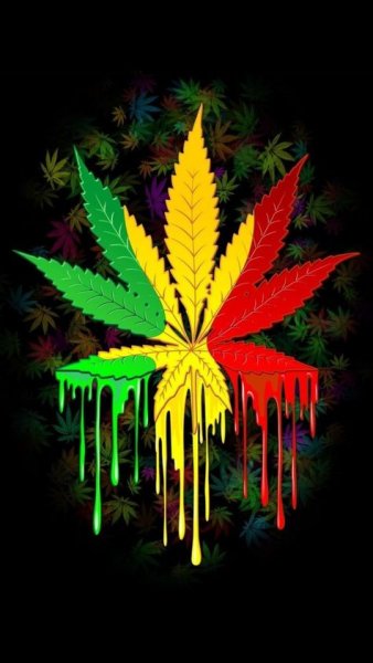 Конопля Раста