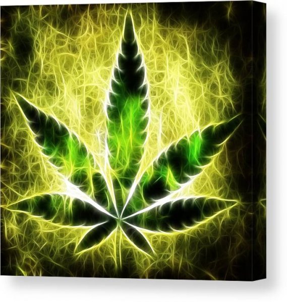 Мариуана Льои