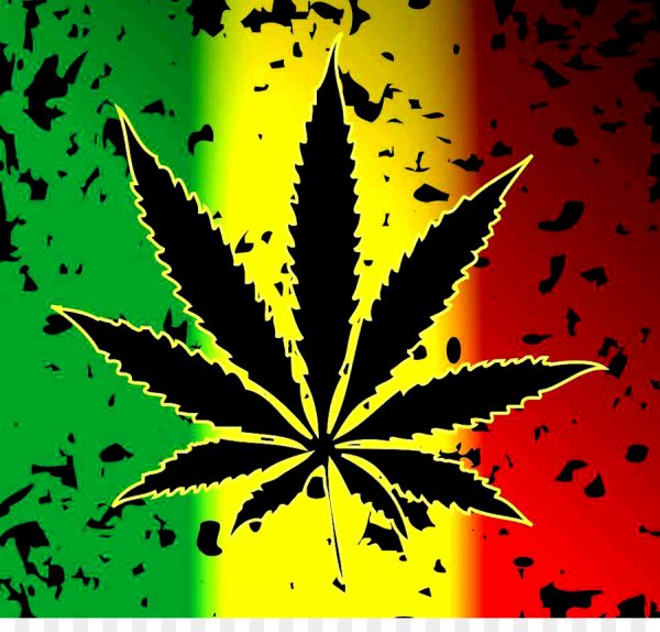 Марихуана Раста