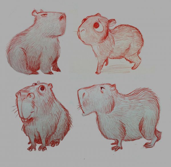 Капибара референс