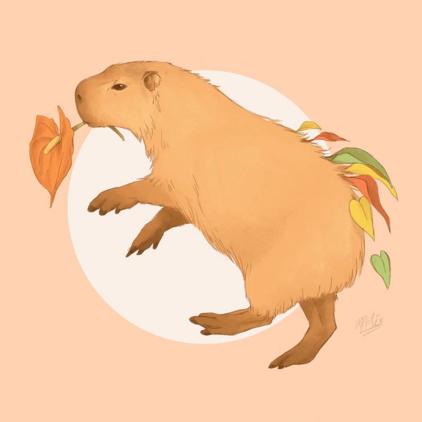 Капибара аниме