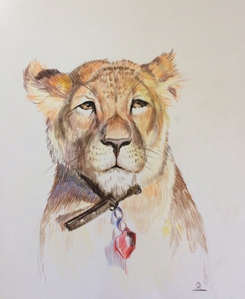 Львенок карандашом