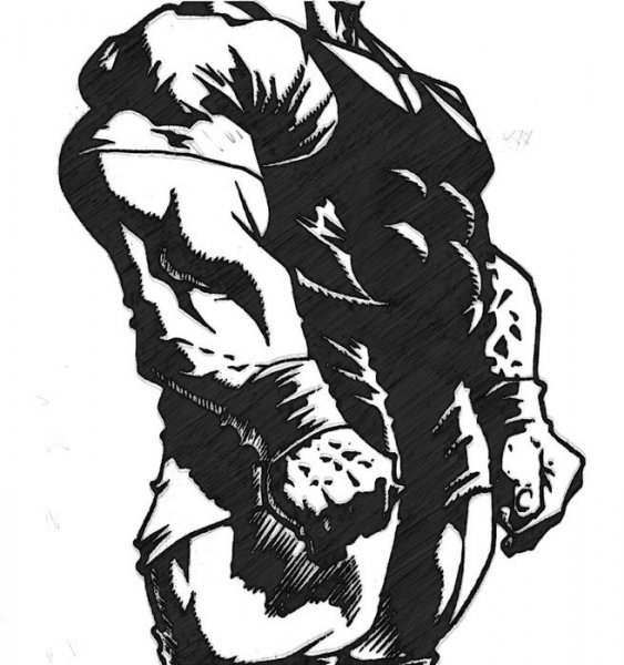 Бодибилдинг эскизы