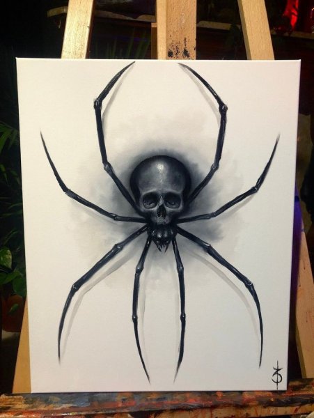 Паук арт